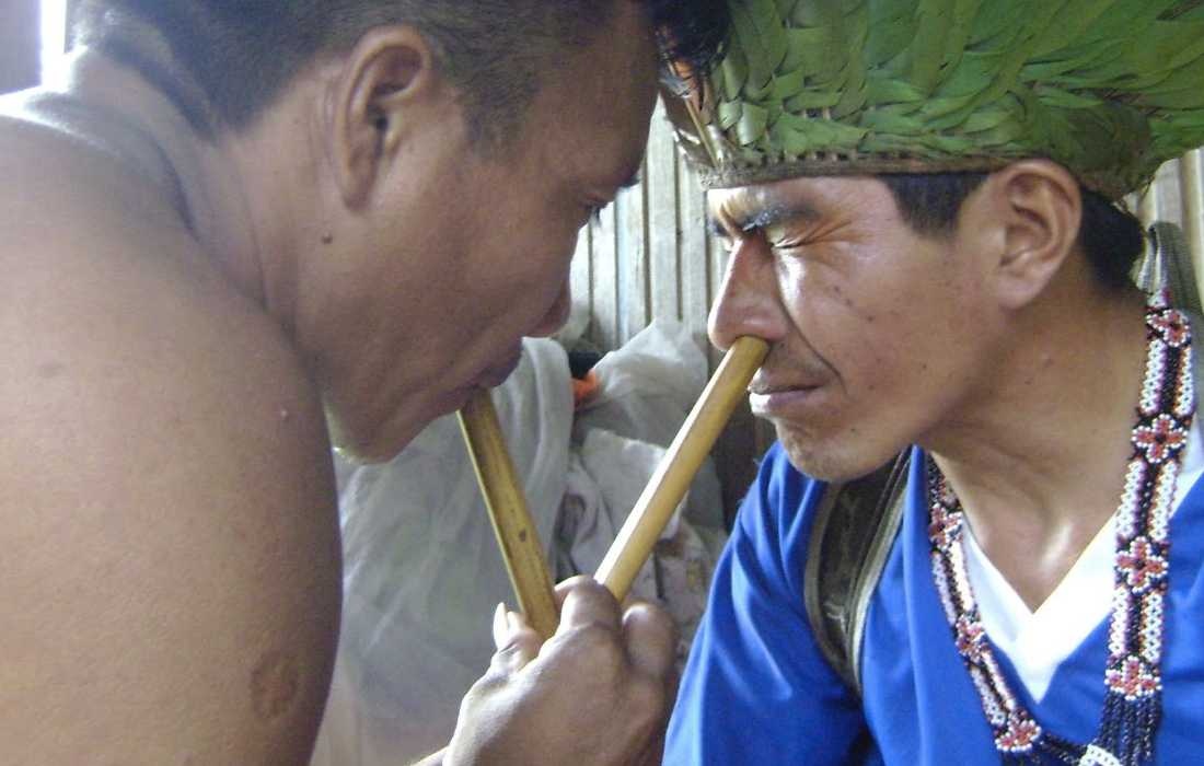 best tepi pipe